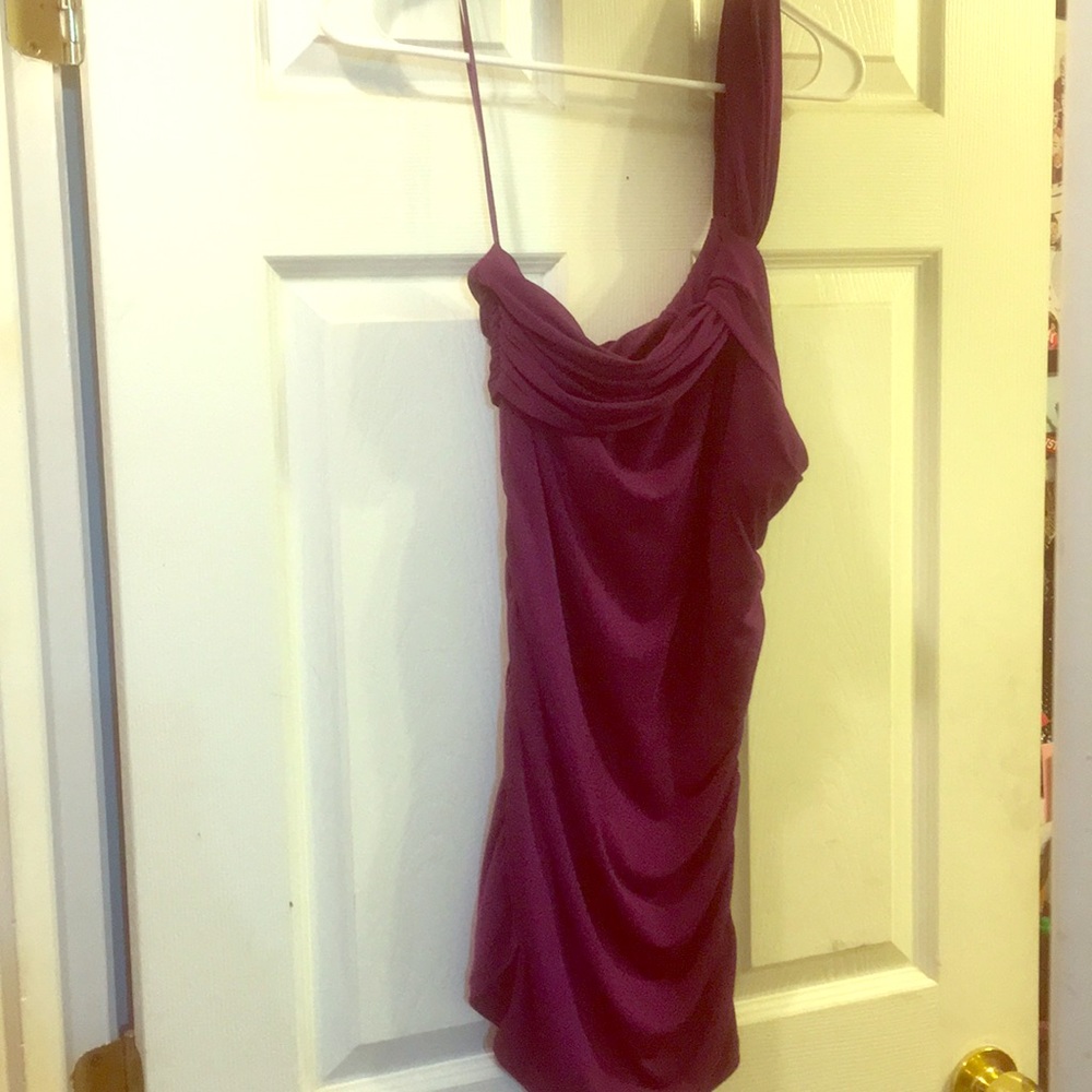 One shoulder plum top with side roosting.